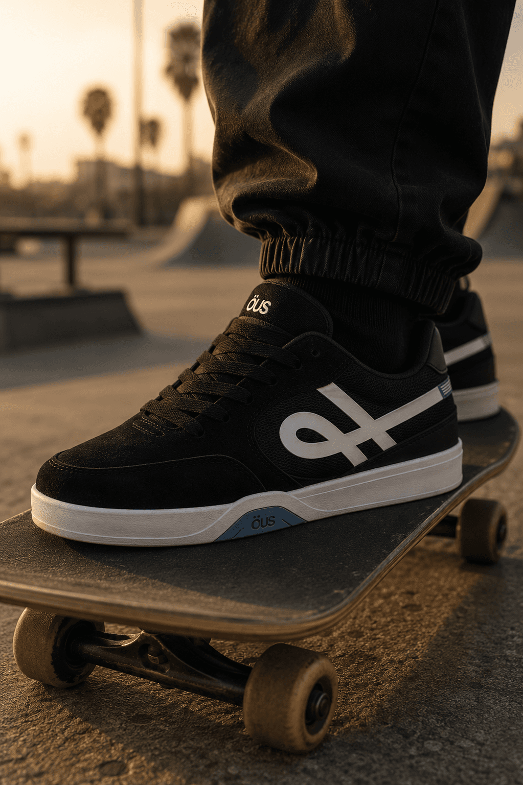 Explorar SKATE